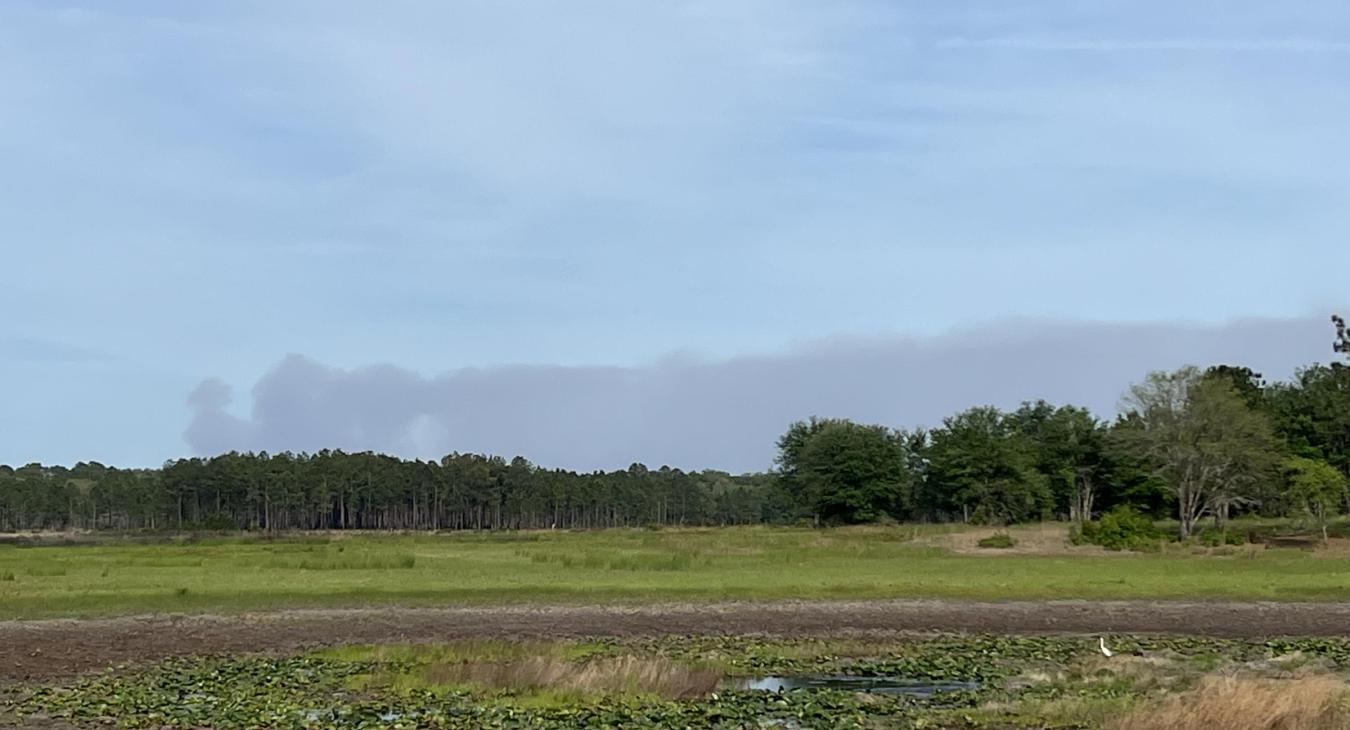 Courtesy: Jenn Samsel, reporter