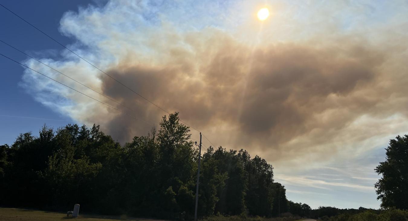 Courtesy: Jenn Samsel, reporter