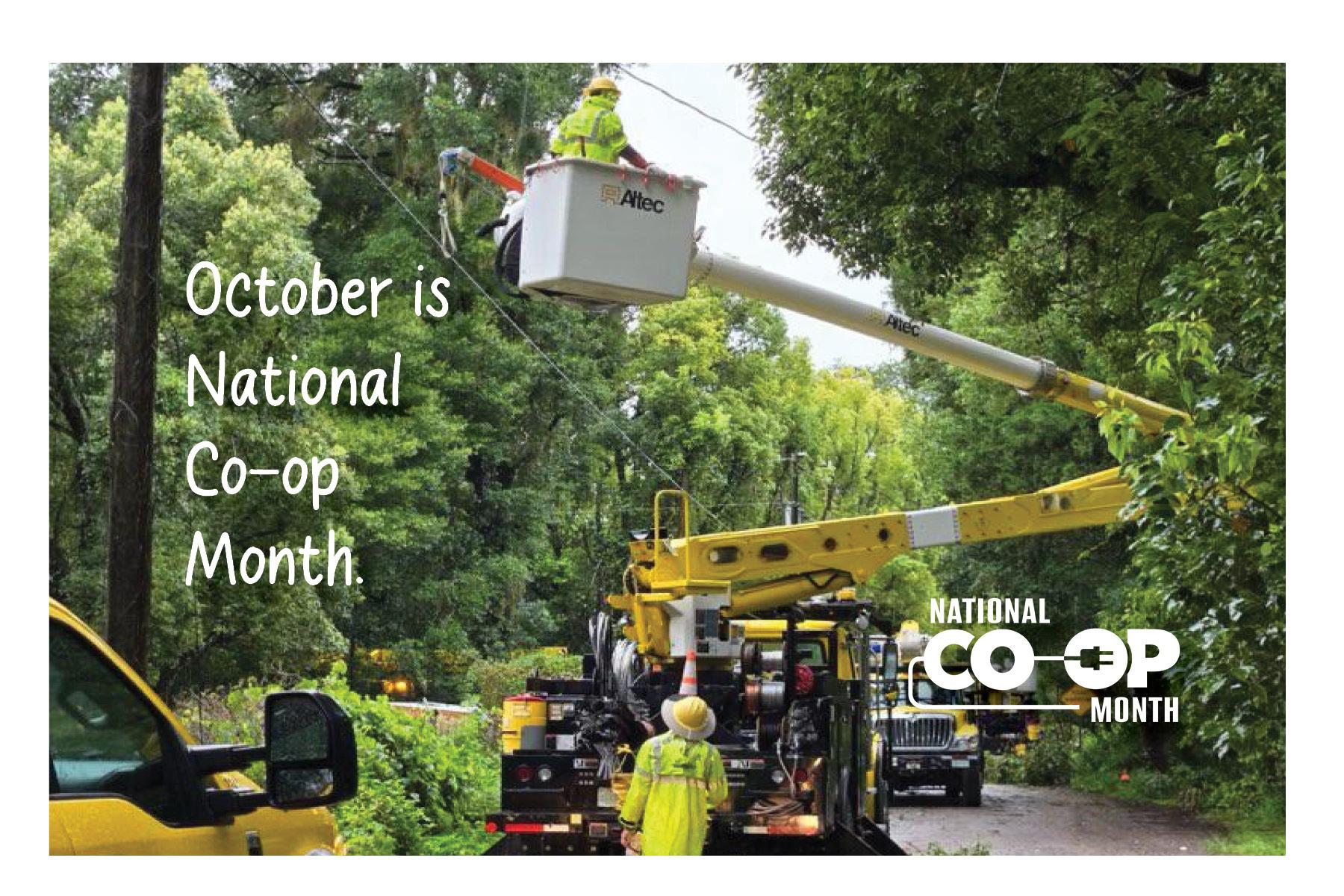 Co-op Month